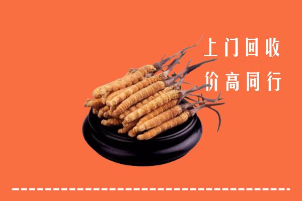 高价求购：青市回收散虫草
